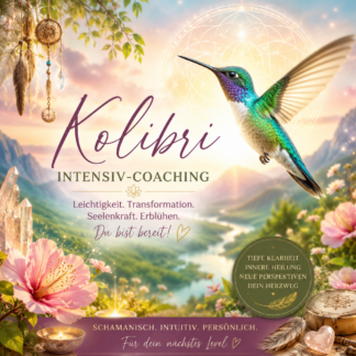 Kolibri-Intensiv-Coaching ~ 3 Sessions